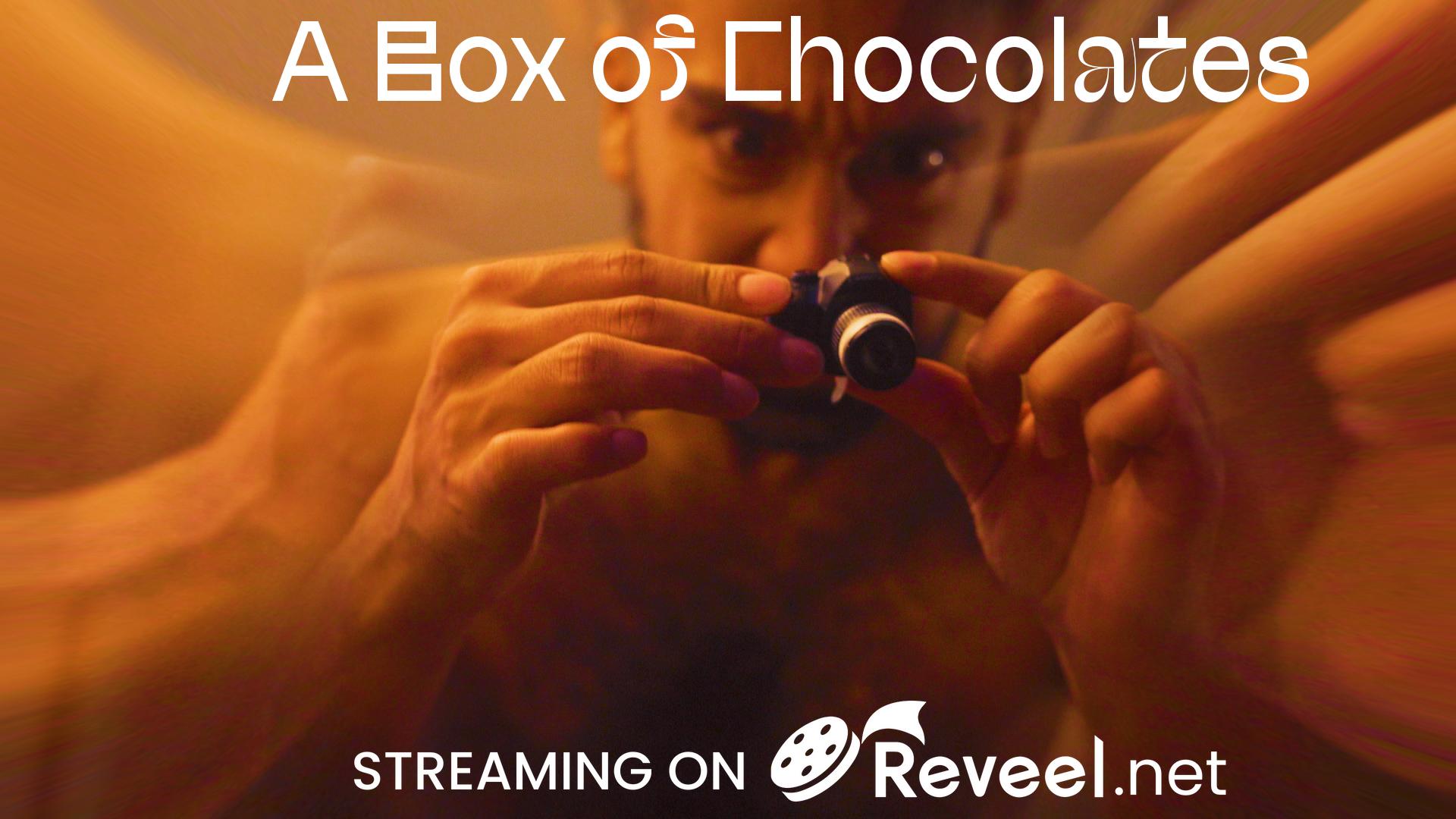 A Box of Chocolates A Box of Chocolates
