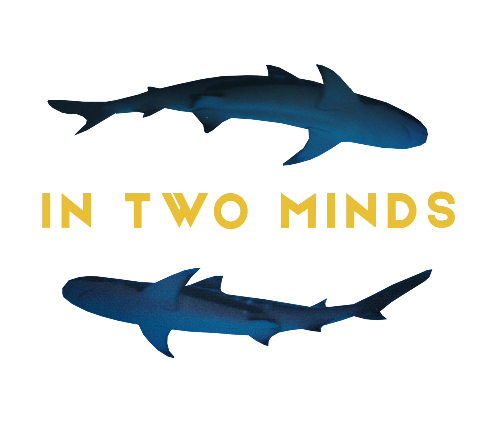 In Two Minds