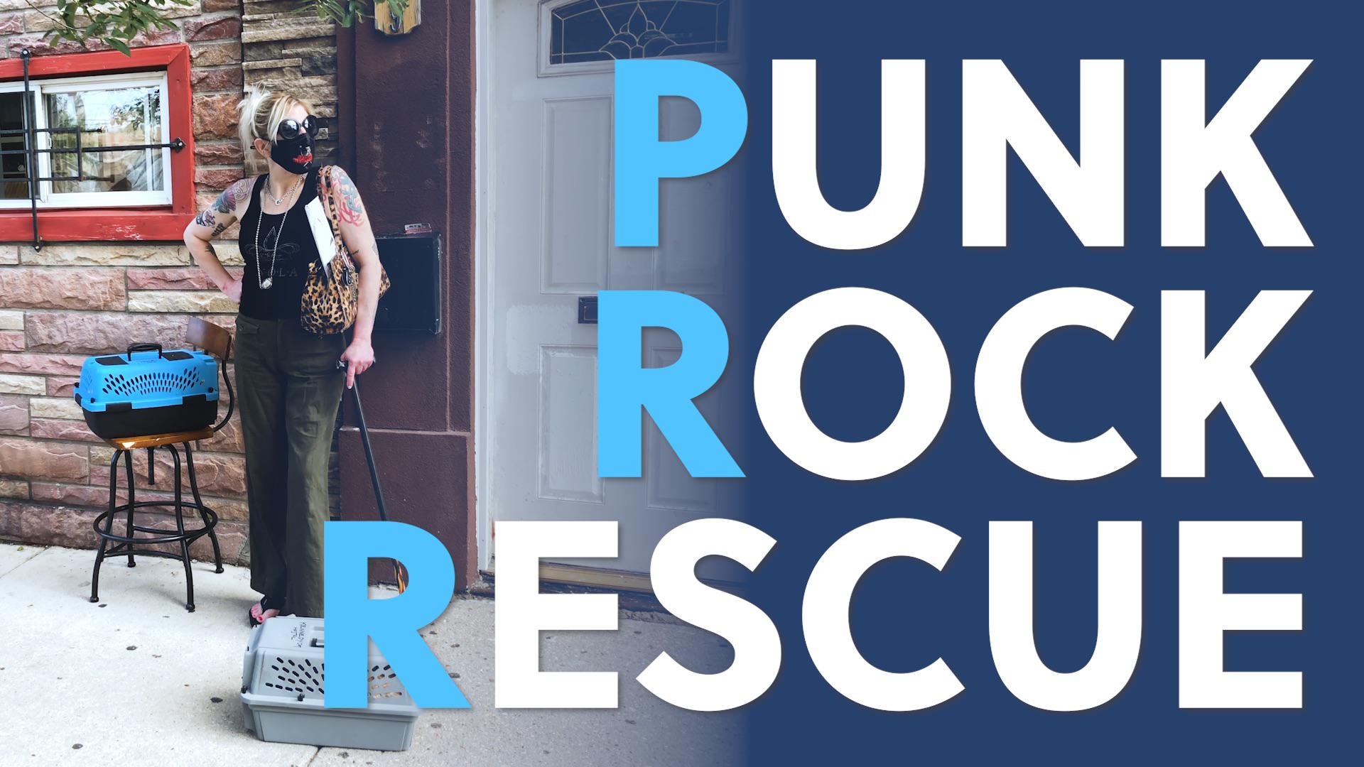 Punk Rock Rescue | The Innkeepers of Kennedy Cat Hostel