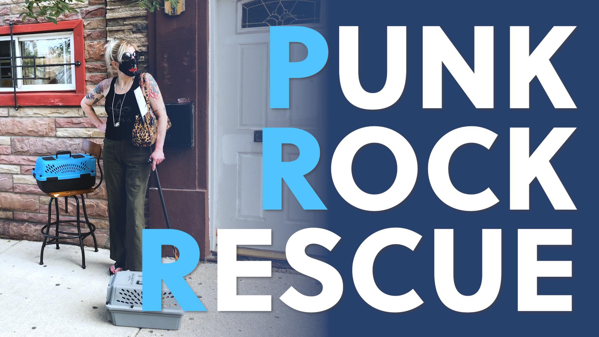Punk Rock Rescue | The Innkeepers of Kennedy Cat Hostel Punk Rock Rescue | The Innkeepers of Kennedy Cat Hostel
