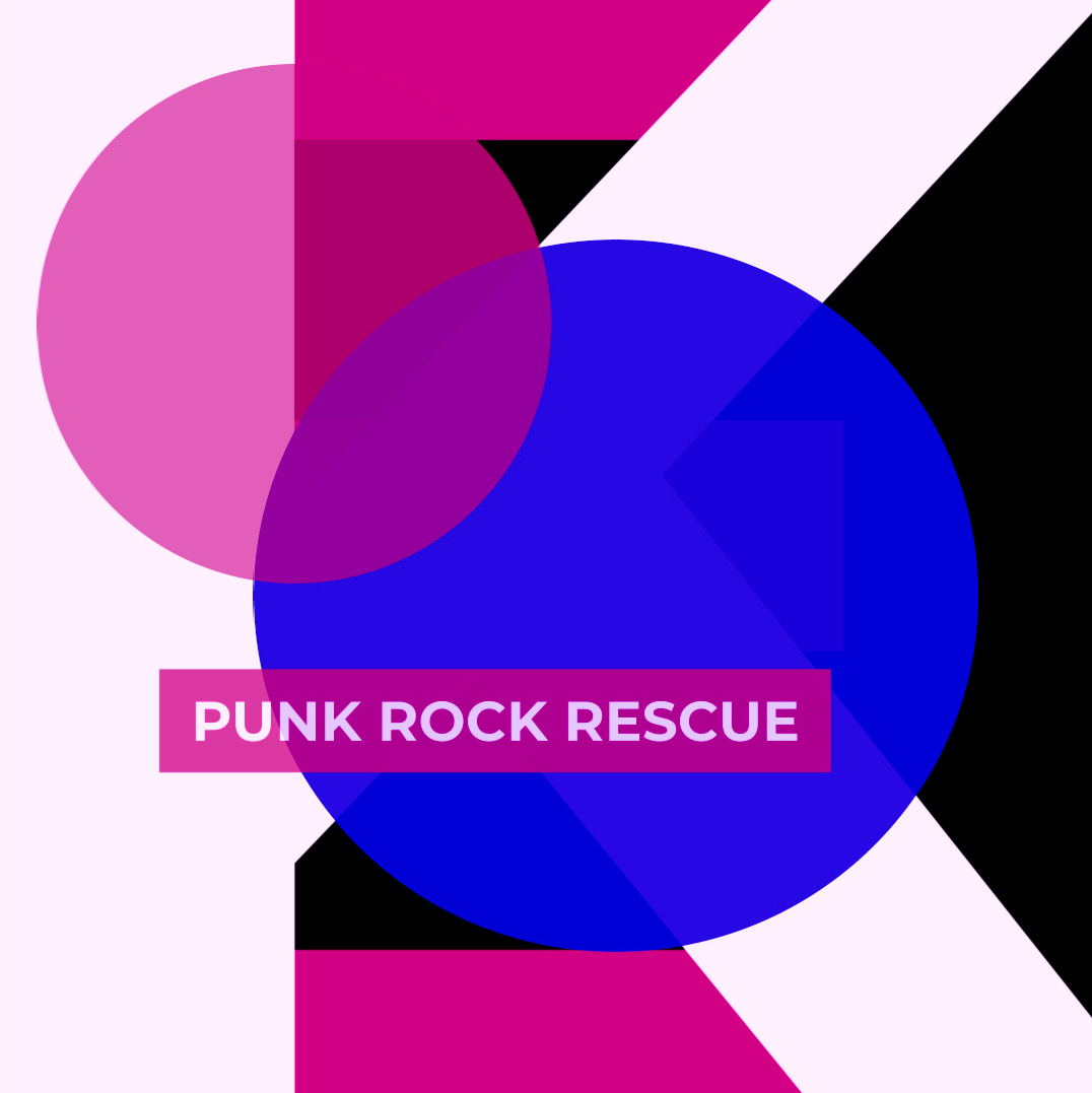 Punk Rock Rescue | The Innkeepers of Kennedy Cat Hostel Punk Rock Rescue | The Innkeepers of Kennedy Cat Hostel
