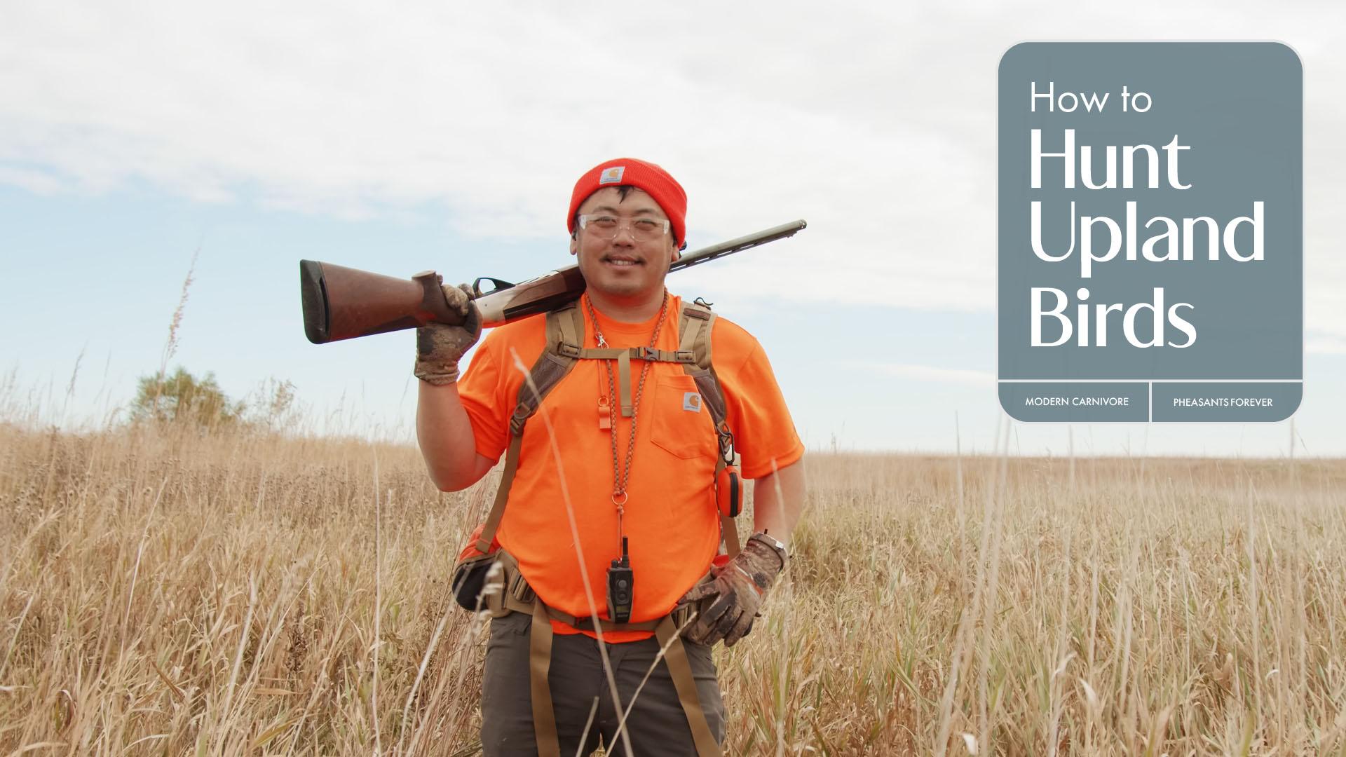 How To Hunt Upland Birds How To Hunt Upland Birds